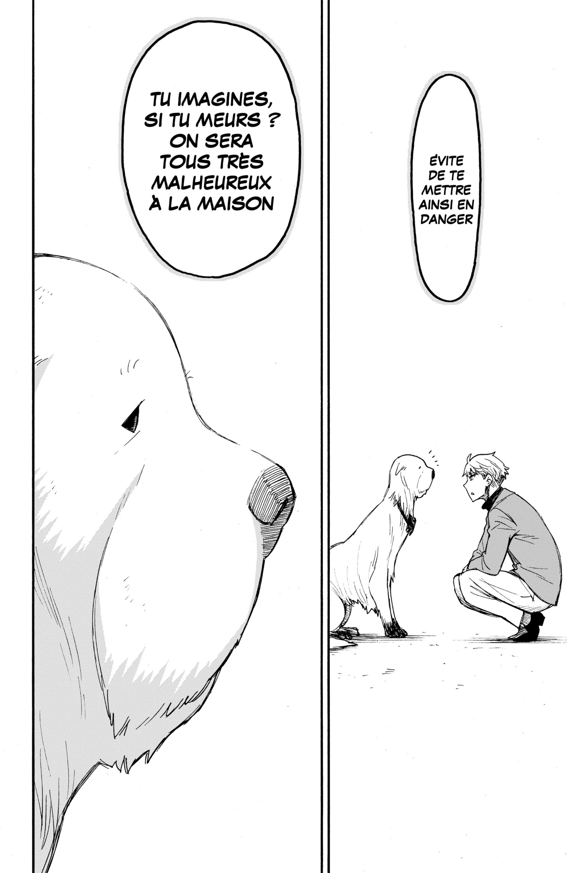 Read Spy X FamilyFR Manga Online