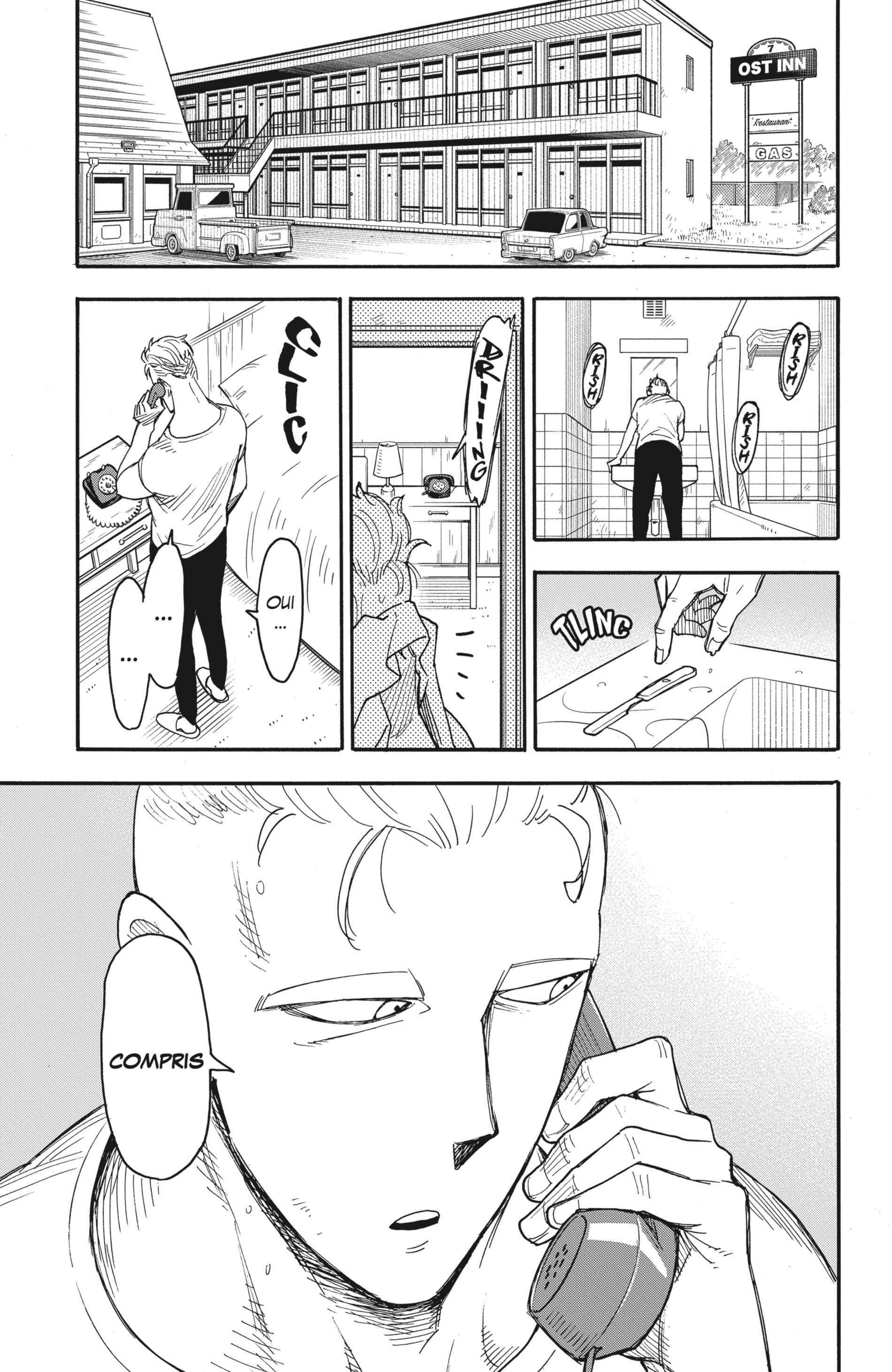 Read Spy X FamilyFR Manga Online