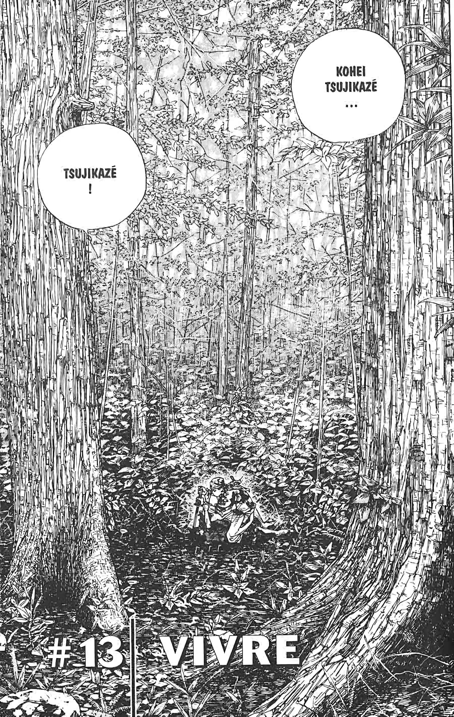 Read VagabondFR Manga Online