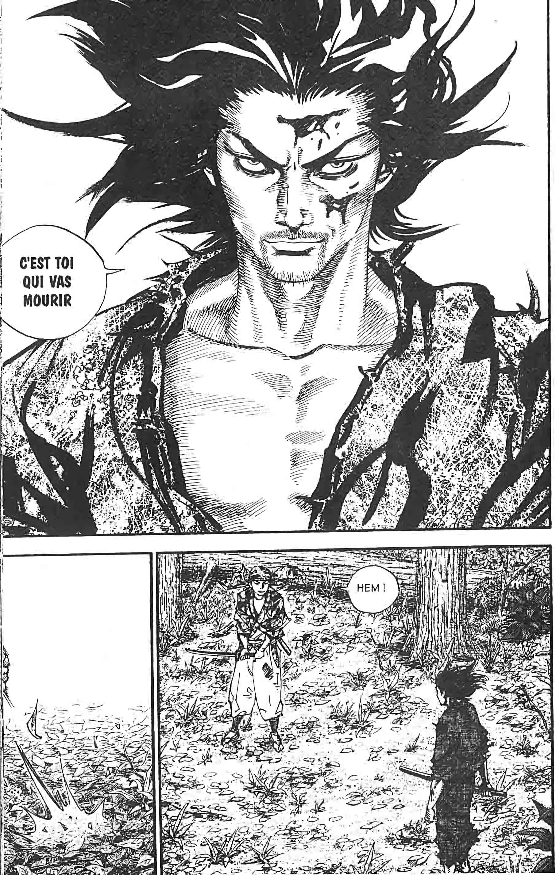 Read VagabondFR Manga Online