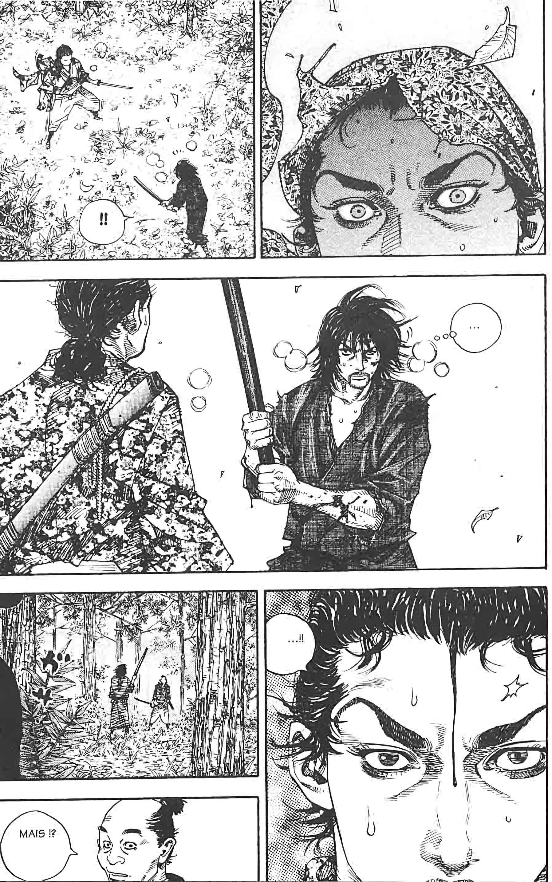Read VagabondFR Manga Online