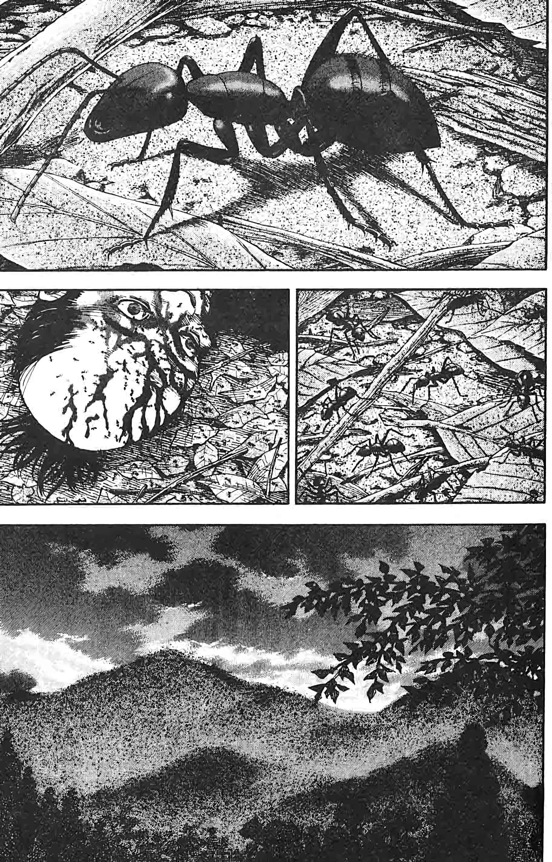 Read VagabondFR Manga Online