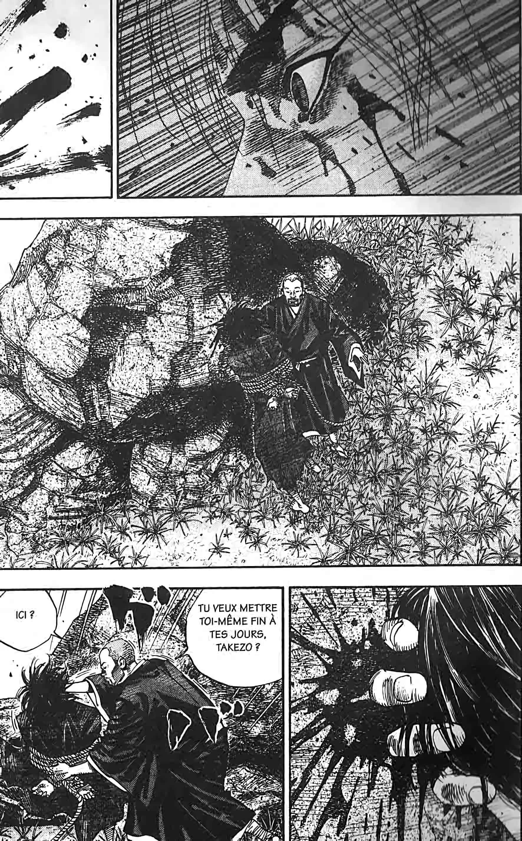 Read VagabondFR Manga Online