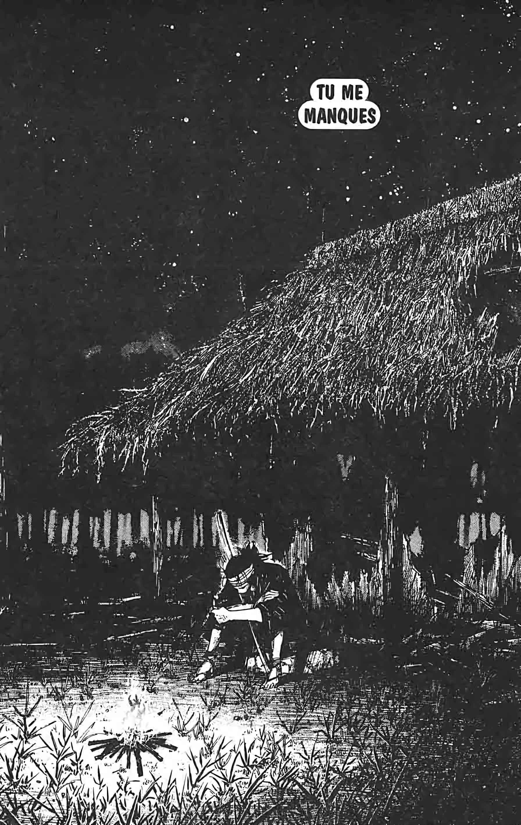 Read VagabondFR Manga Online
