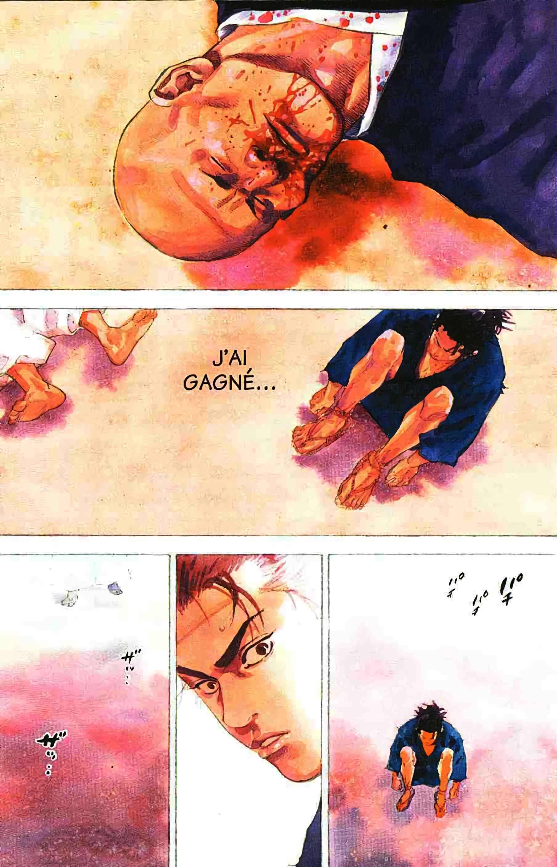 Read VagabondFR Manga Online