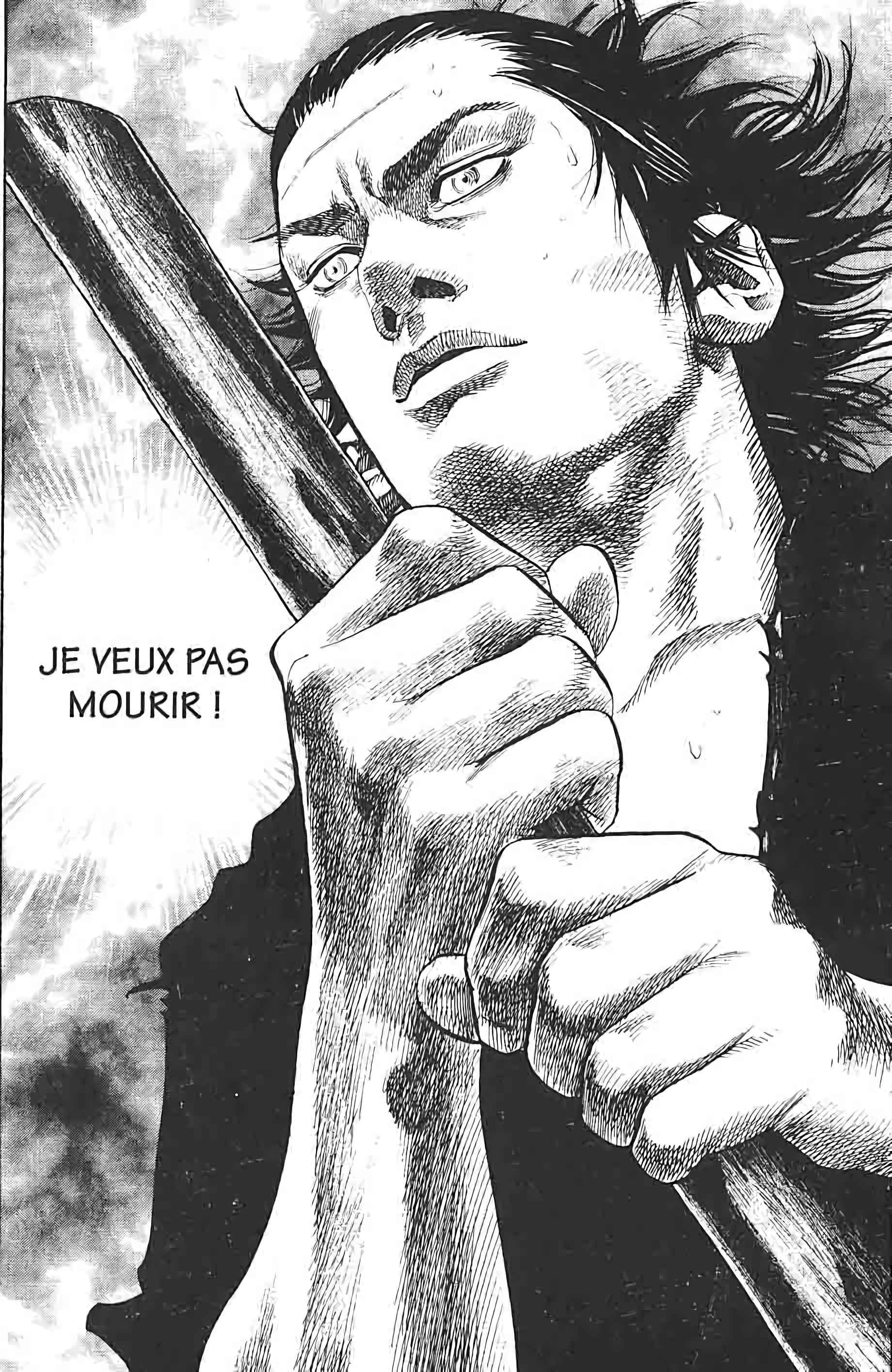 Read VagabondFR Manga Online