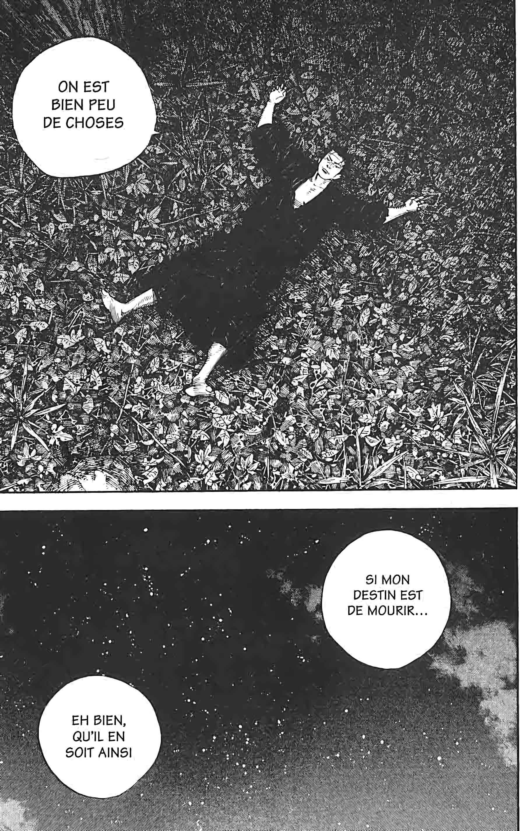 Read VagabondFR Manga Online