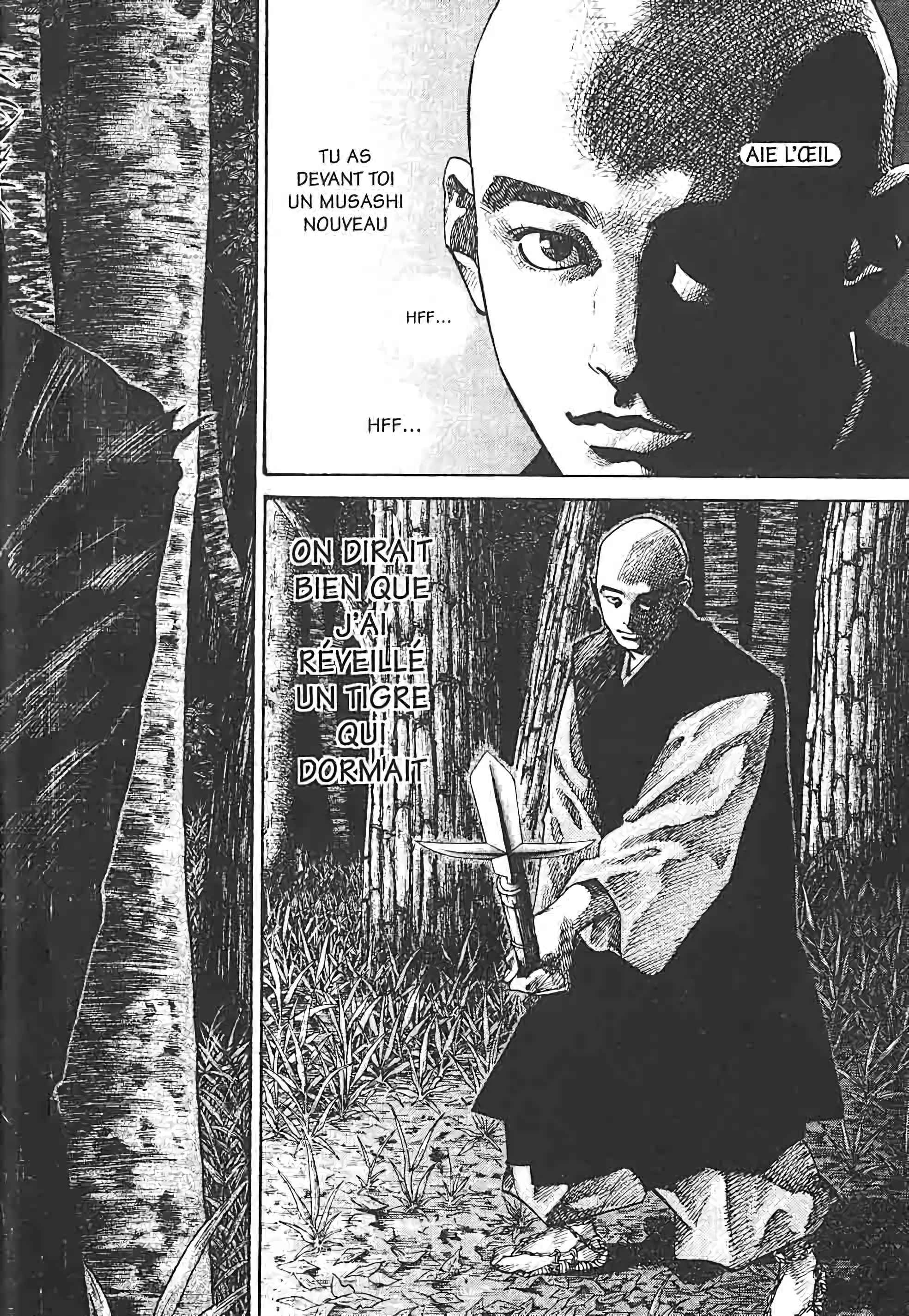 Read VagabondFR Manga Online