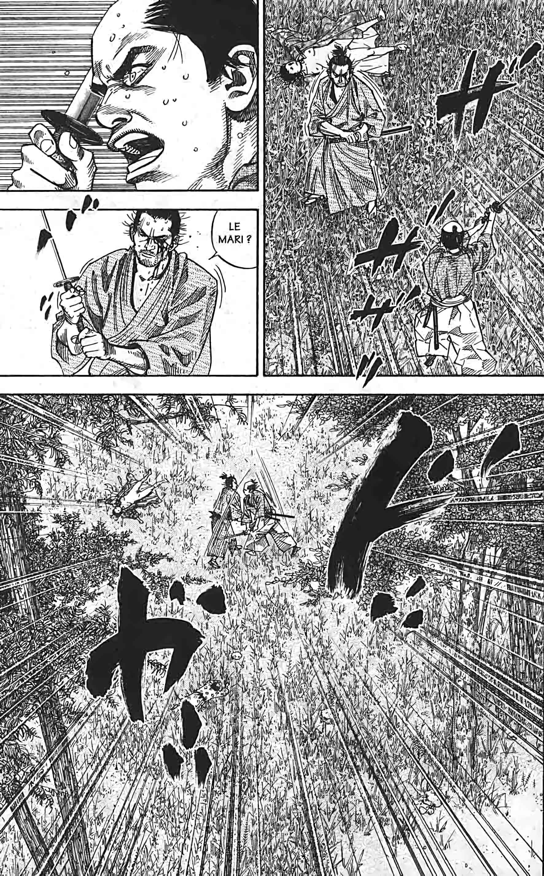 Read VagabondFR Manga Online