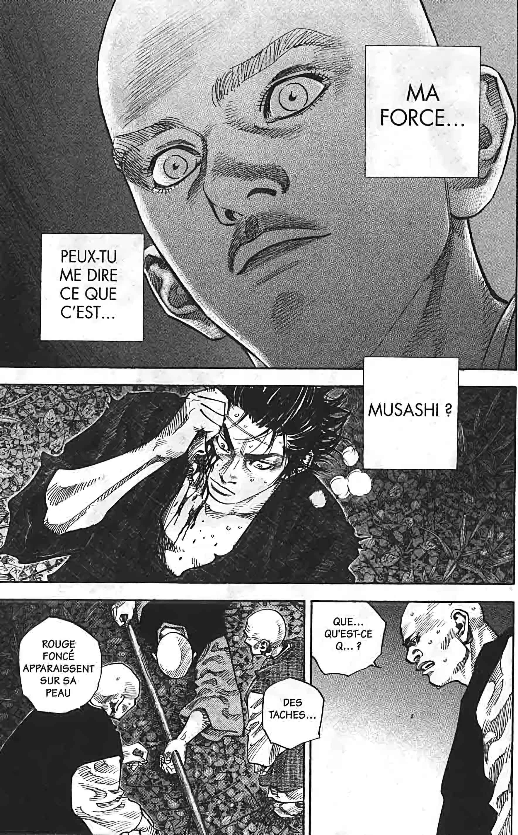 Read VagabondFR Manga Online