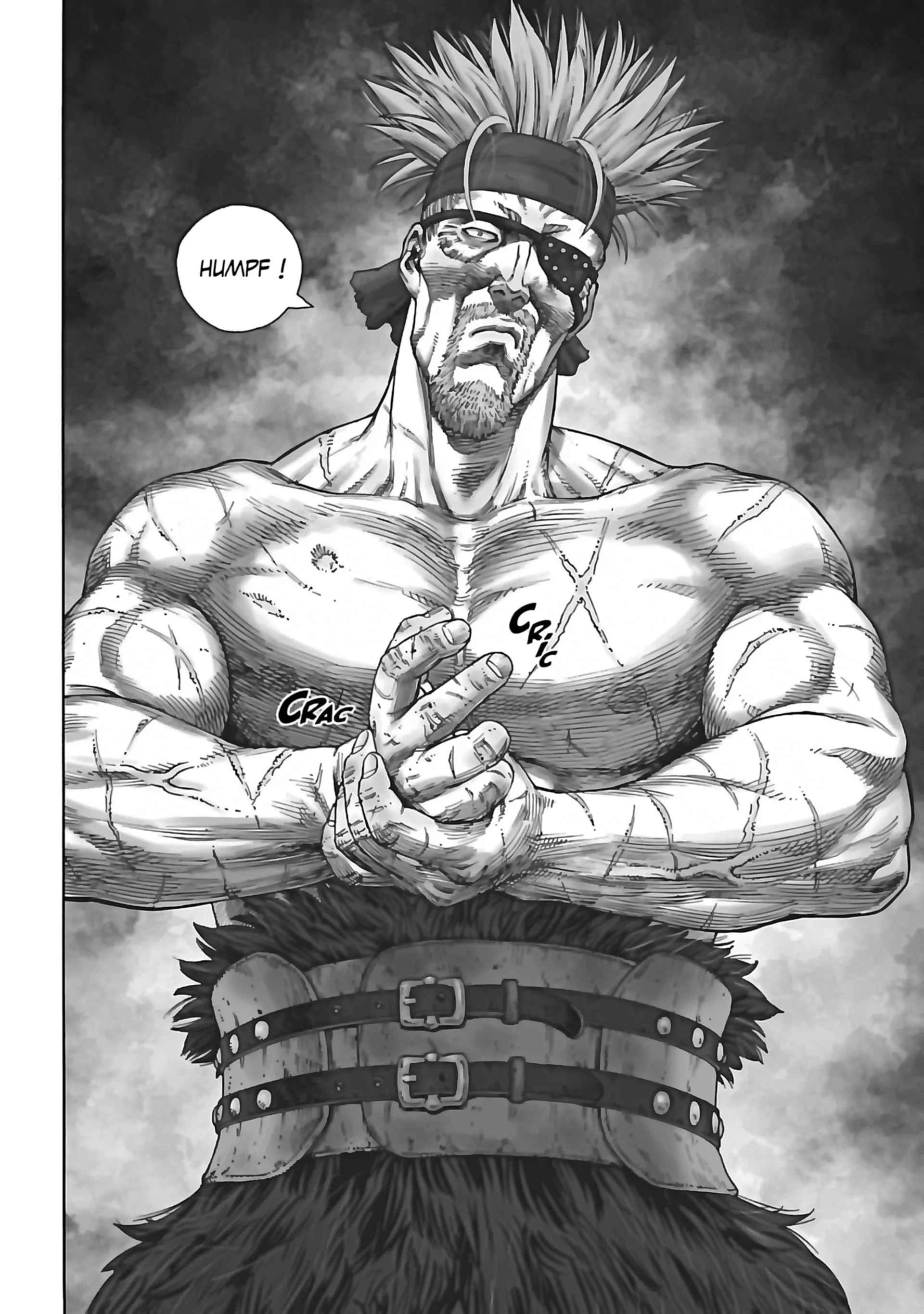 Read Vinland Saga (FR) Manga Online