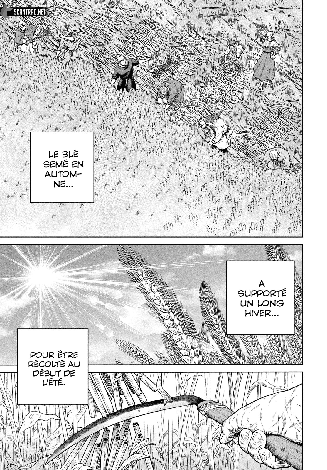 Read Vinland Saga (FR) Manga Online