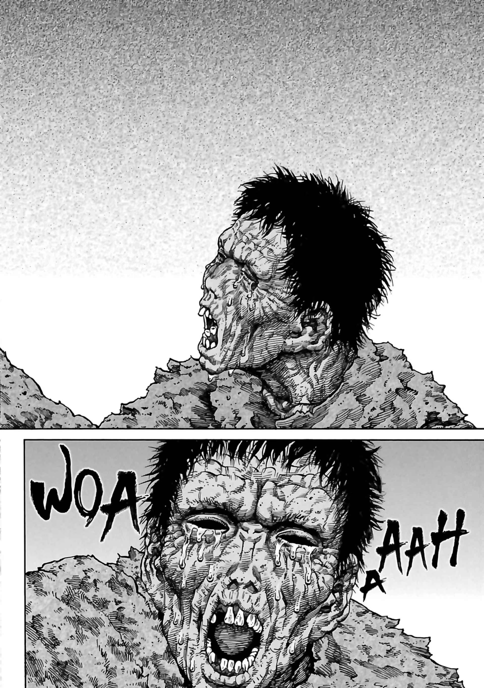 Read Vinland Saga (FR) Manga Online