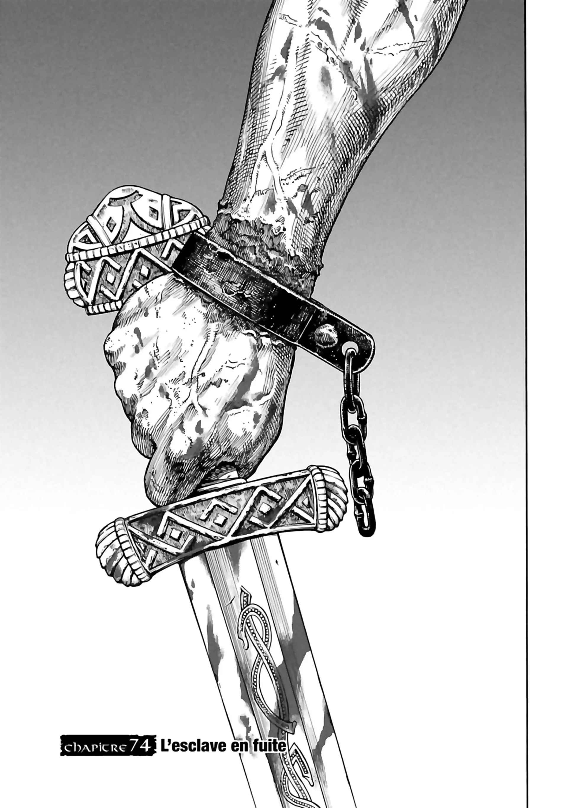 Read Vinland Saga (FR) Manga Online