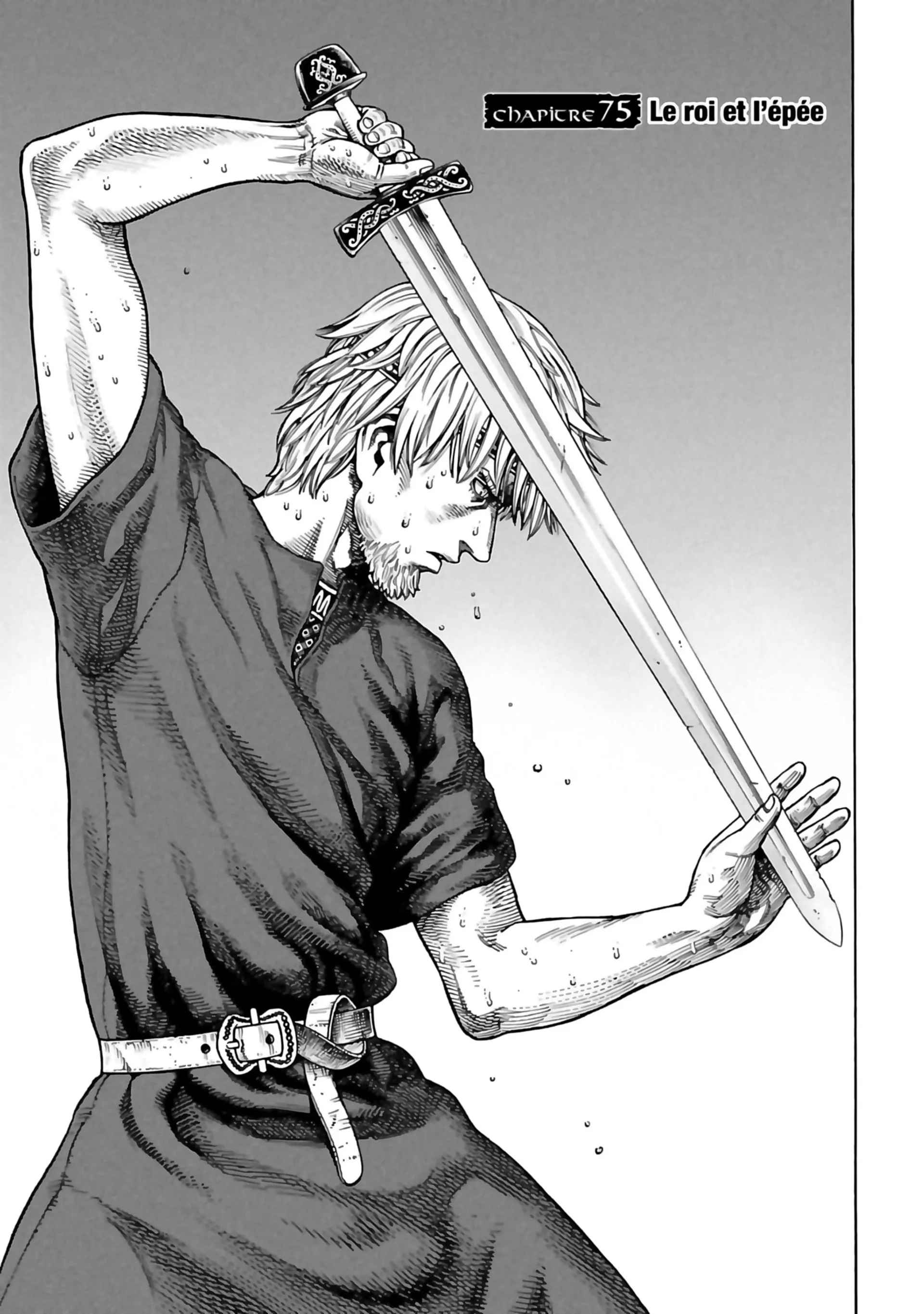 Read Vinland Saga (FR) Manga Online