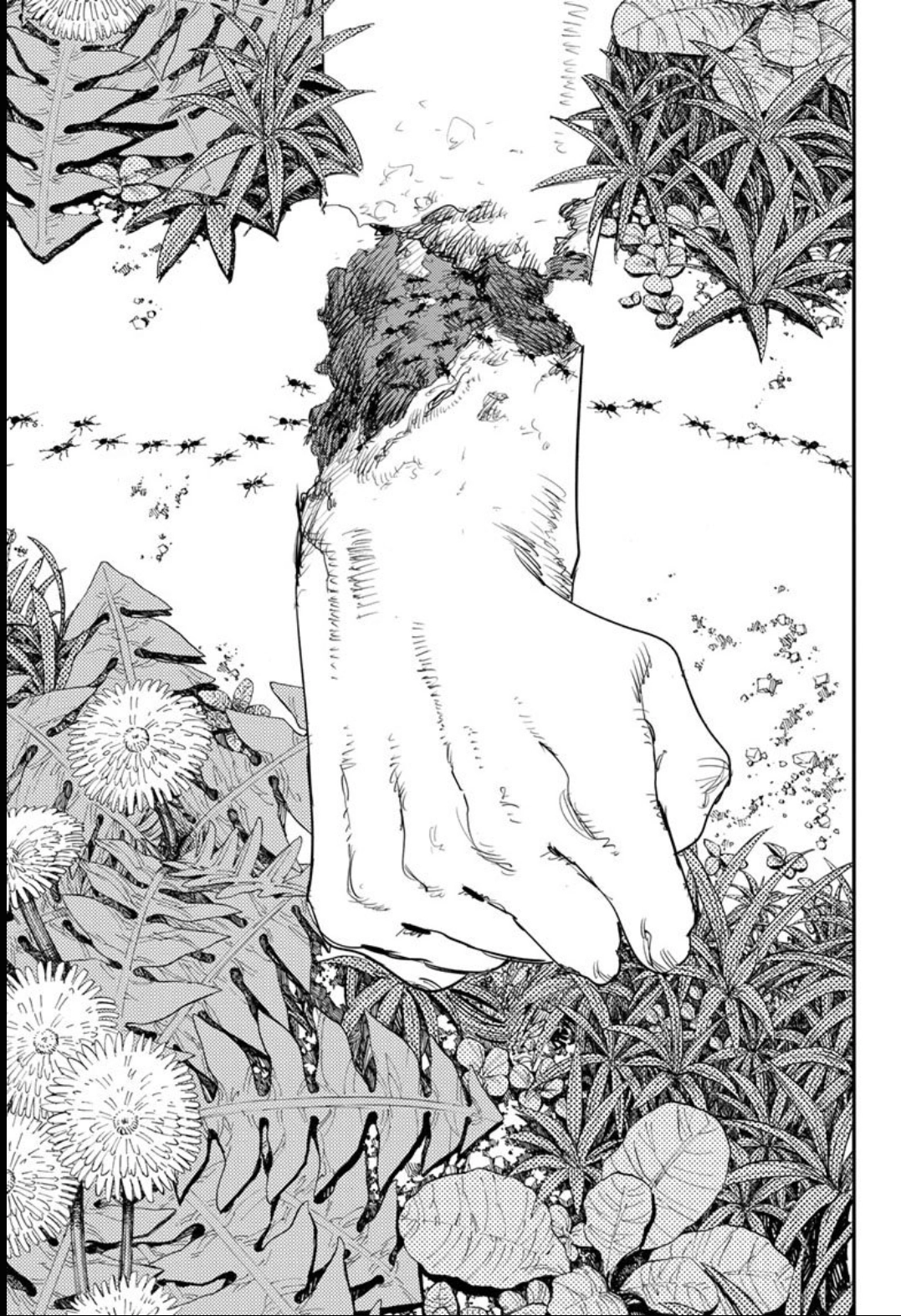 Read Chainsaw Man (PT) Manga Online