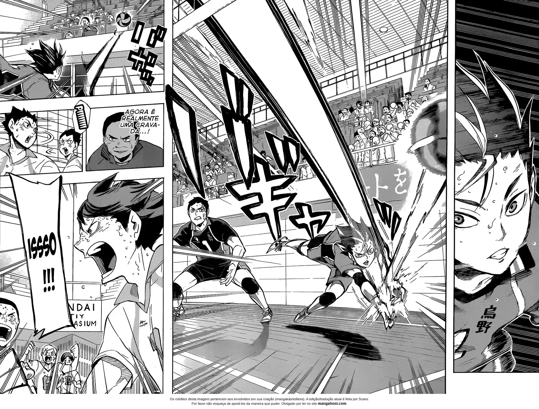 Read Haikyuu!! (PT) Manga Online