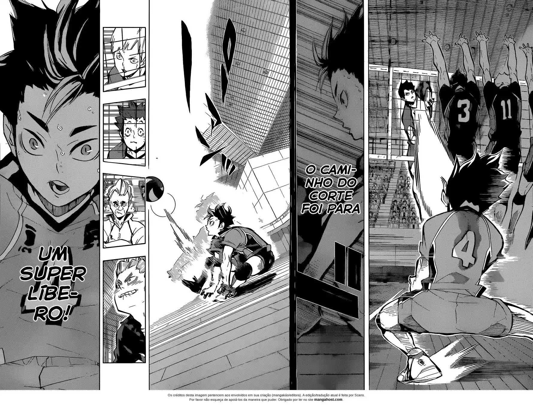Read Haikyuu!! (PT) Manga Online
