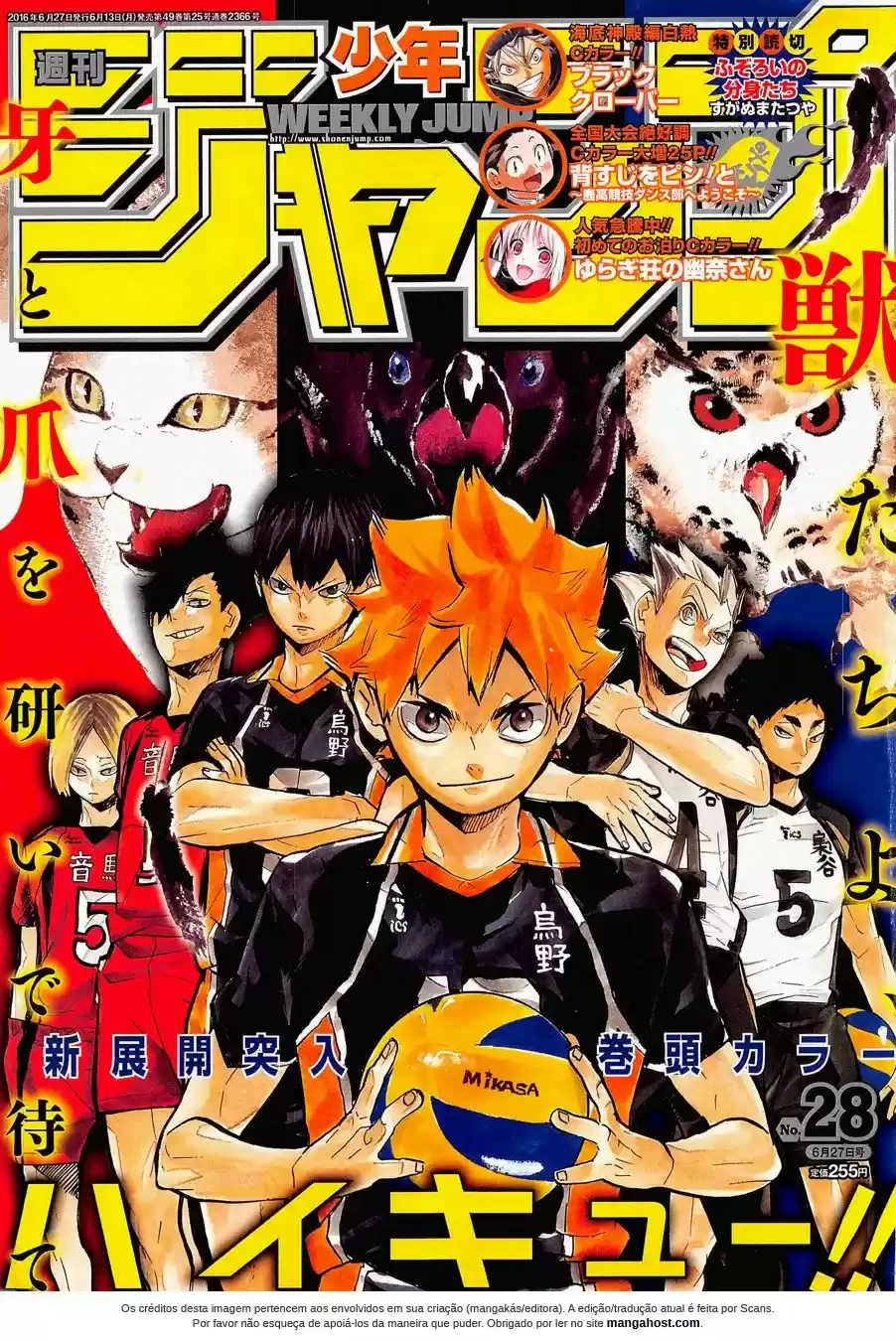 Read Haikyuu!! (PT) Manga Online
