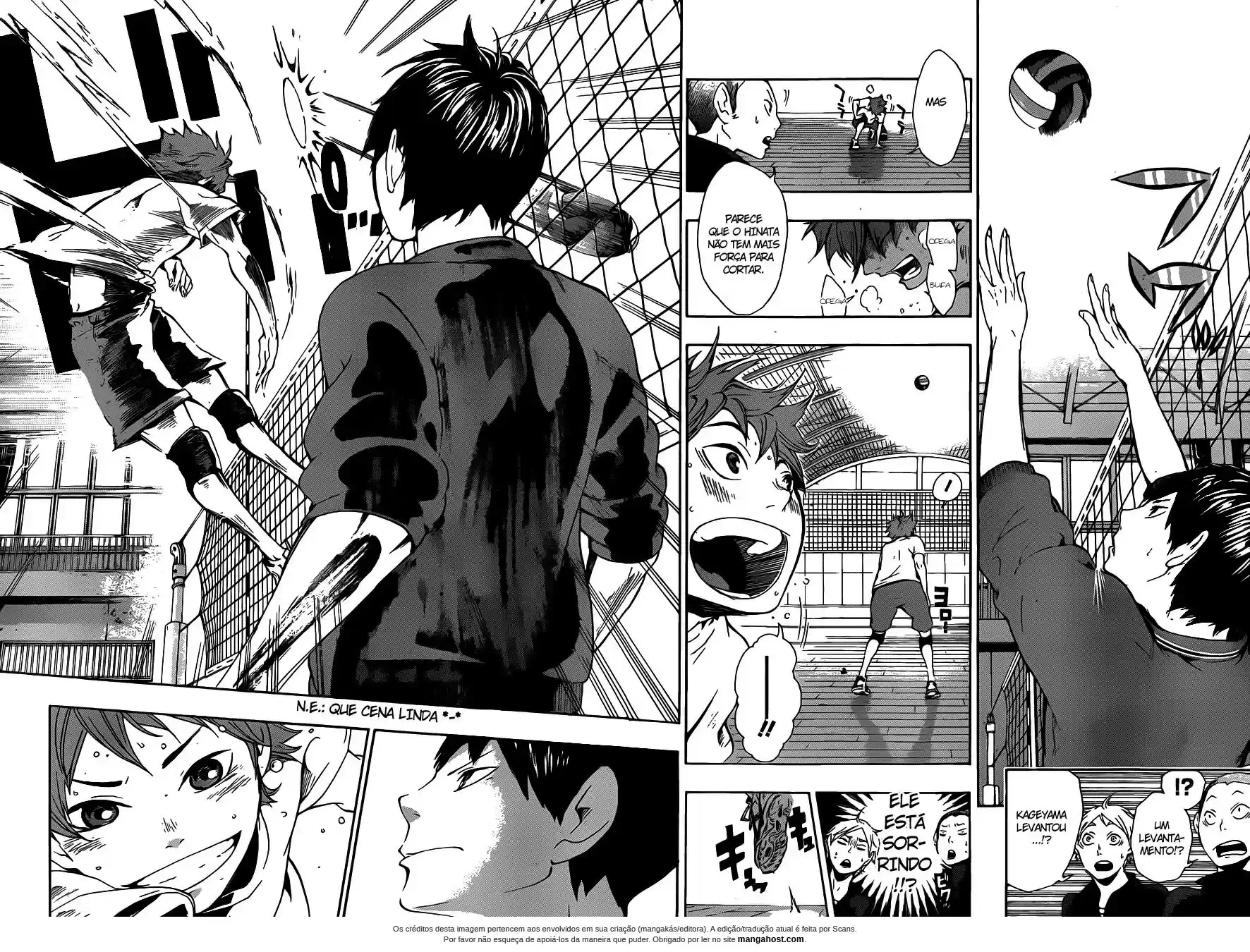 Read Haikyuu!! (PT) Manga Online