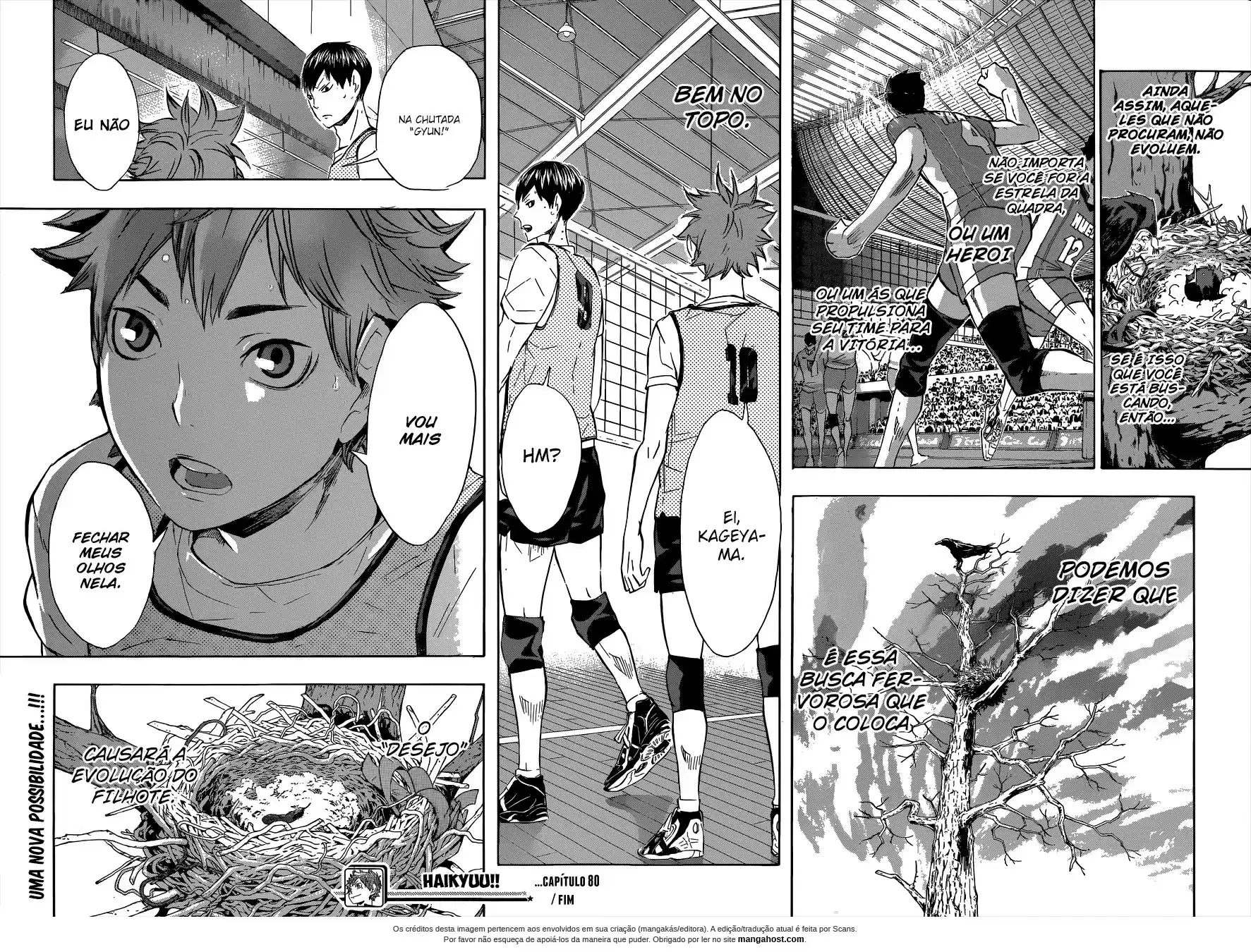 Read Haikyuu!! (PT) Manga Online