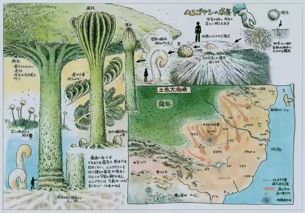 Read Kaze no Tani no Nausicaä (PT) Manga Online
