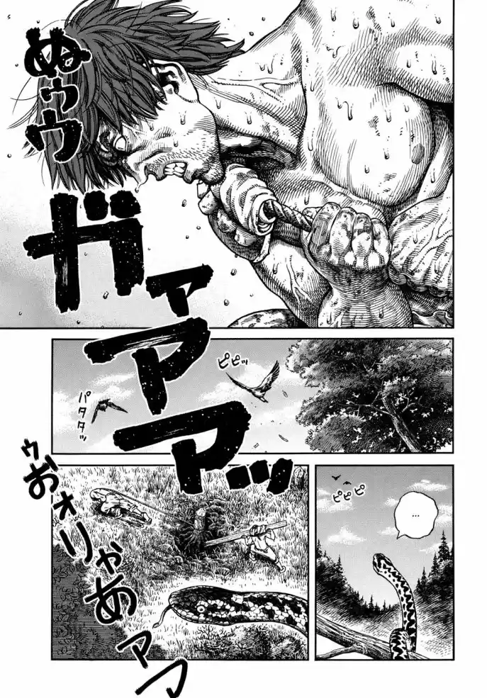 Read Vinland Saga (PT) Manga Online