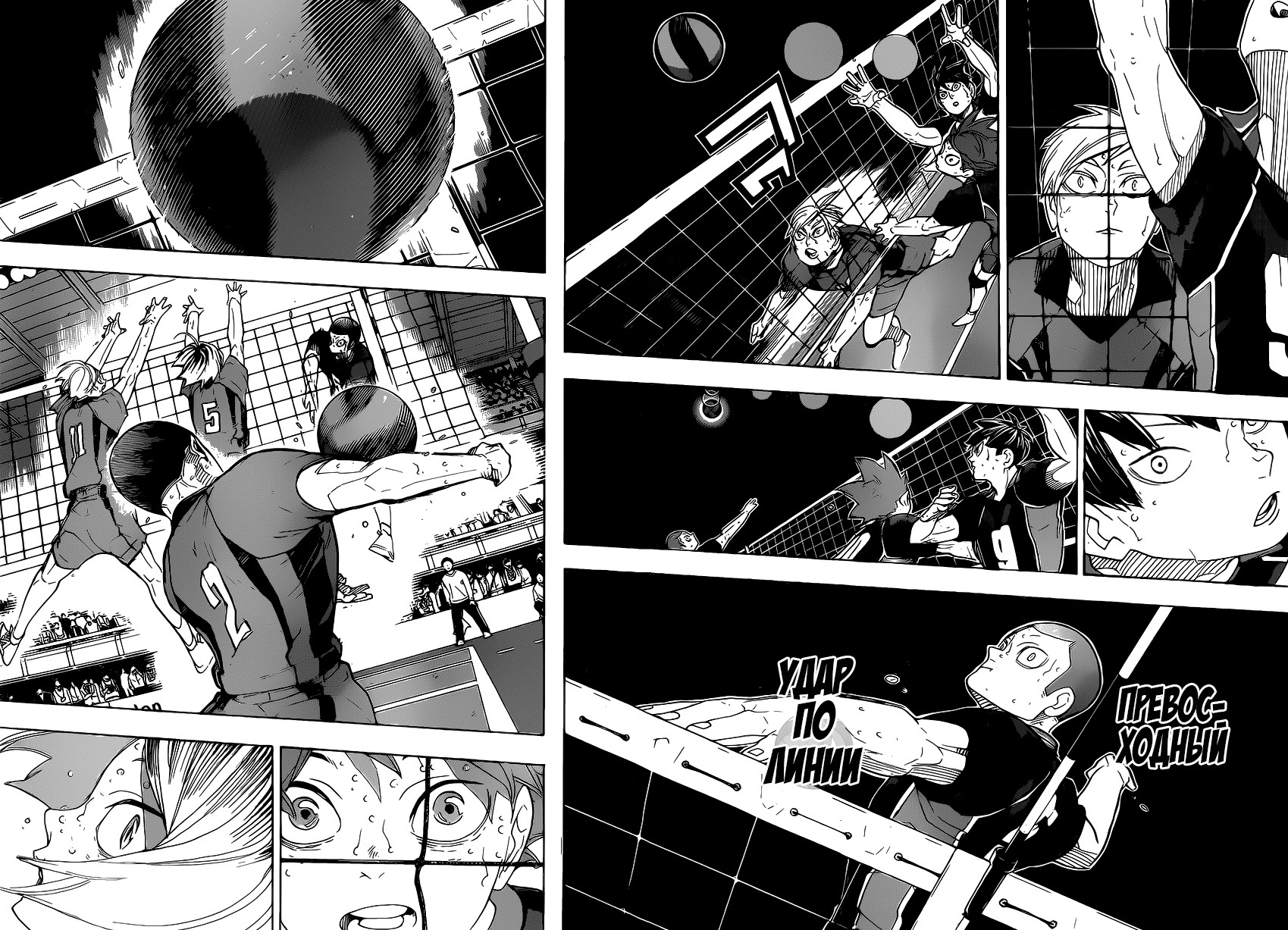 Read Волейбол!! Manga Online