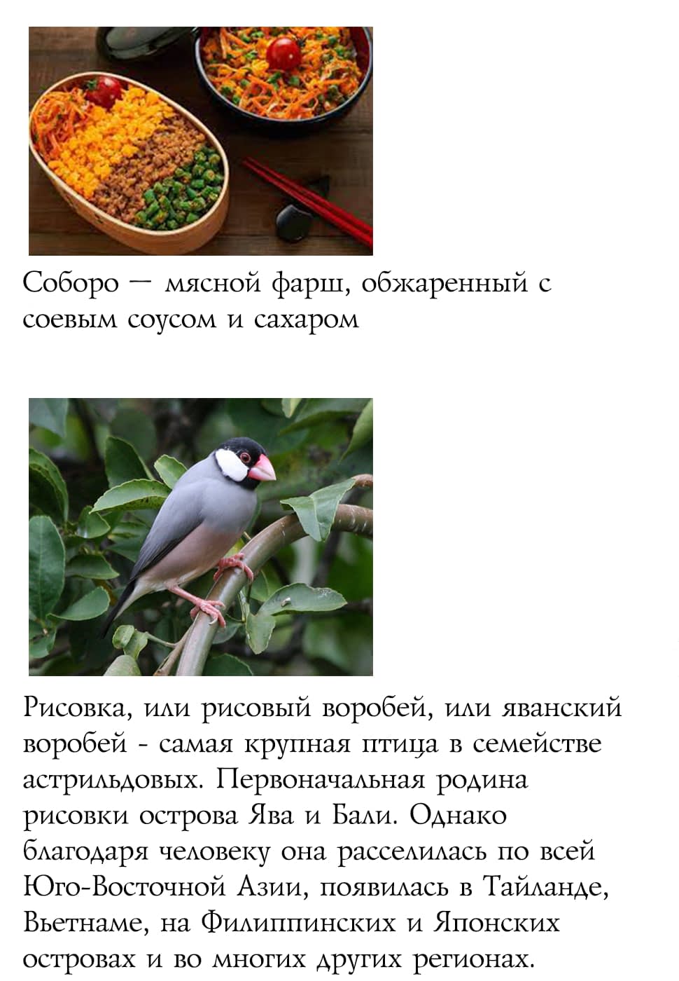 Read Мартовский лев Manga Online